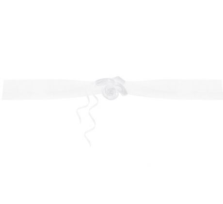Girlanda na auto 2x1,8 m