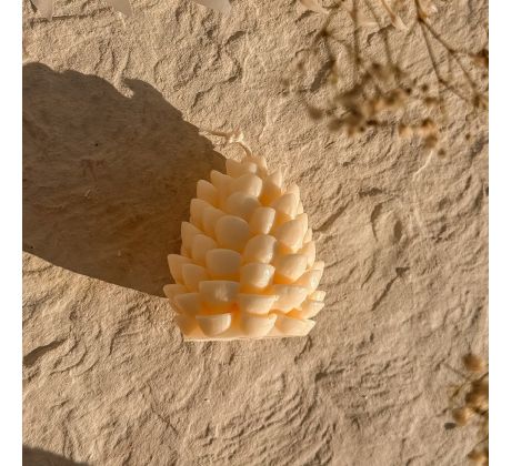 Sviečka Pinecone