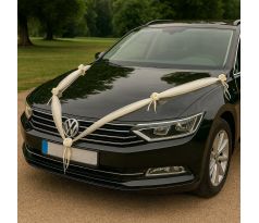 Girlanda na auto 2x1,8 m krémová