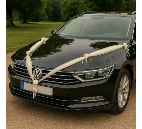 Výzdoba na svadobné auto